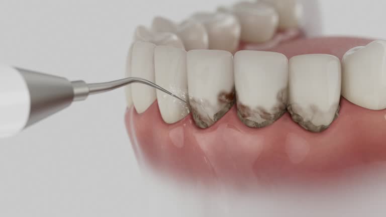 Reliable Dental contractor in Fort Hall, ID by Dentist Open Now